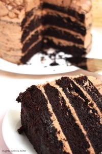 Nutella Chocolate Cake is a dense and fluffy chocolate mud cake with a creamy Nutella Buttercream filling and topping and finished with Nutella drizzled overtop. #nutellacake #nutellachocolatecake #chocolatecake #bestchocolatecake #nutellalayercake