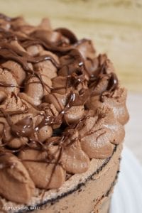 Nutella Chocolate Cake is a dense and fluffy chocolate mud cake with a creamy Nutella Buttercream filling and topping and finished with Nutella drizzled overtop. #nutellacake #nutellachocolatecake #chocolatecake #bestchocolatecake #nutellalayercake