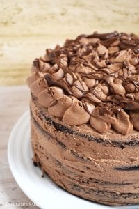 Nutella Chocolate Cake is a dense and fluffy chocolate mud cake with a creamy Nutella Buttercream filling and topping and finished with Nutella drizzled overtop. #nutellacake #nutellachocolatecake #chocolatecake #bestchocolatecake #nutellalayercake